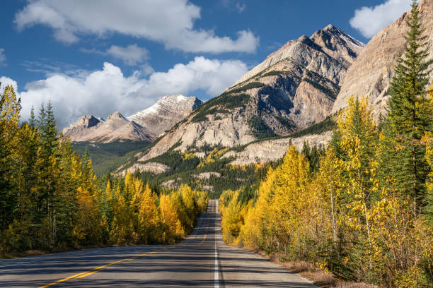 istock Icefields Parkway in Autumn Banff National Park 1008498320