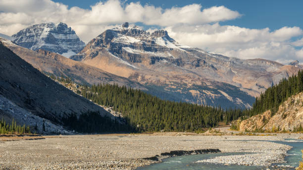 istock Autumn colors on the Icefields Parkway - Banff National Park 1008498362