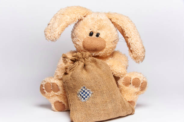 Soft toy rabbit sits with a bag on a white background.