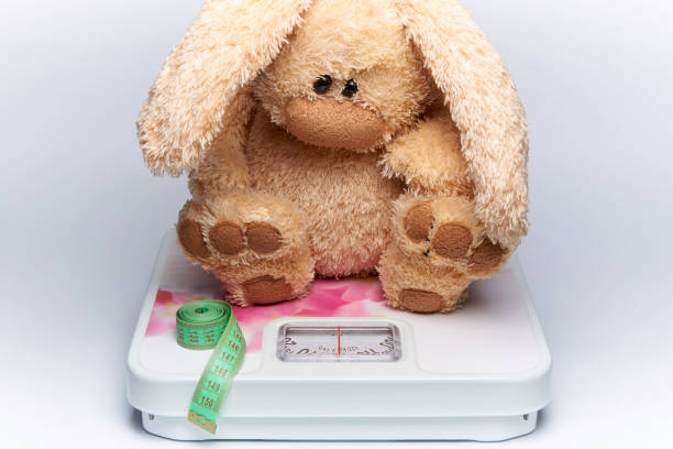 a soft toy rabbit with a centimeter tape sits on the floor scales. - textile healthy eating instrument of measurement tape measure imagens e fotografias de stock