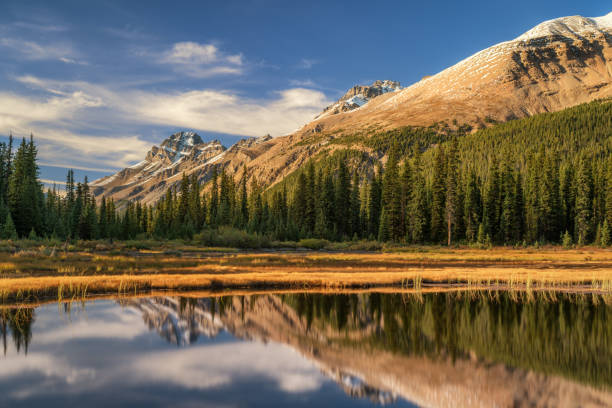 istock Autumn Golden Hour from the Icefields Parkway 1008498734