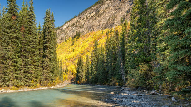 istock River view on the Icefields Parkway in Autumn Banff National Park 1008498936