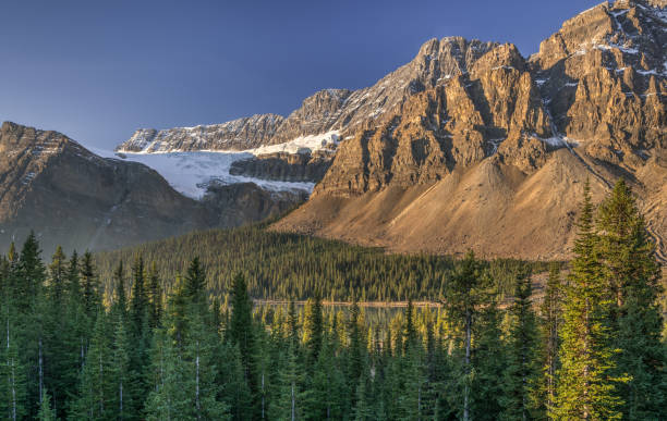 istock Icefields Parkway in Autumn Banff National Park 1008499126