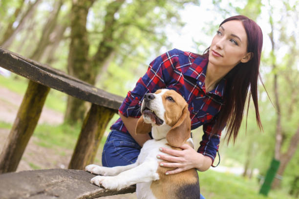 istock Young woman and her dog 1008499614