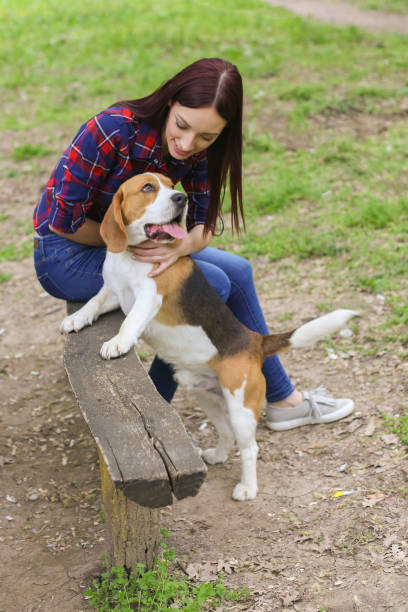 istock Young woman with her dog 1008499646