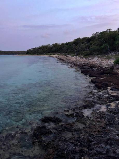 береговая линия острова на рассвете - jori стоковые фото и изображения
