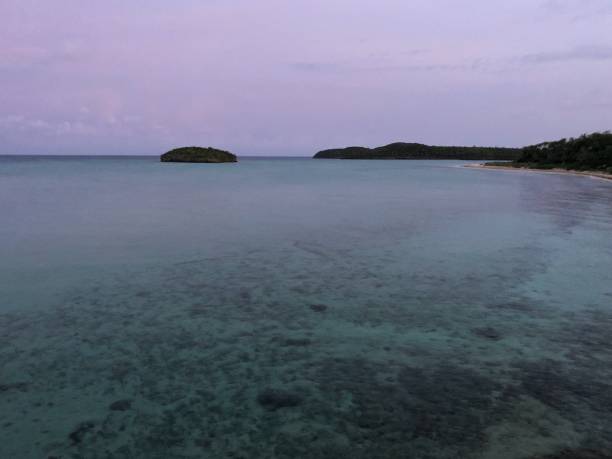 карибское море на рассвете - jori стоковые фото и изображения
