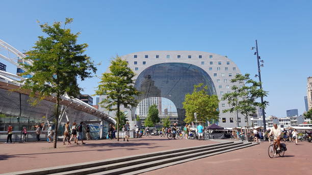 rotterdam marktplaas - rotterdam imagens e fotografias de stock