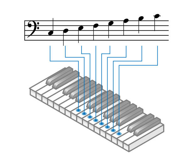 ilustrações, clipart, desenhos animados e ícones de teoria musical: escala de c maior no baixo clave de f - c sharp minor