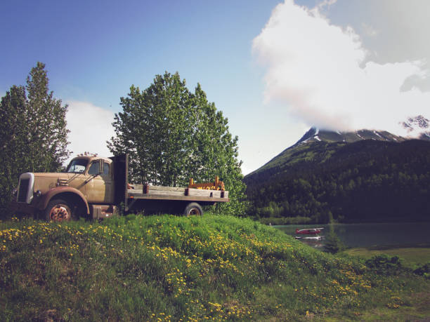 istock Seaplanes in the mountaious landscape, Alaska 1008532528