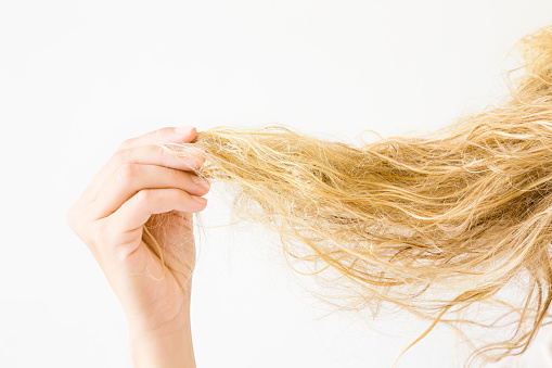 Mano de mujer mojada, rubia, enredado cabello después del lavado sobre el fondo blanco. Problema del cabello y la solución. Problemas de las mujeres diario. photo