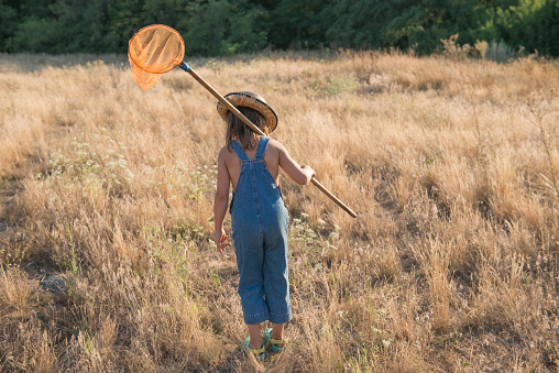 Child with a insect net catches butterfly