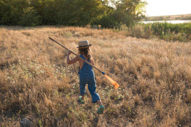 istock Child with a insect net catches butterfly 1008539962