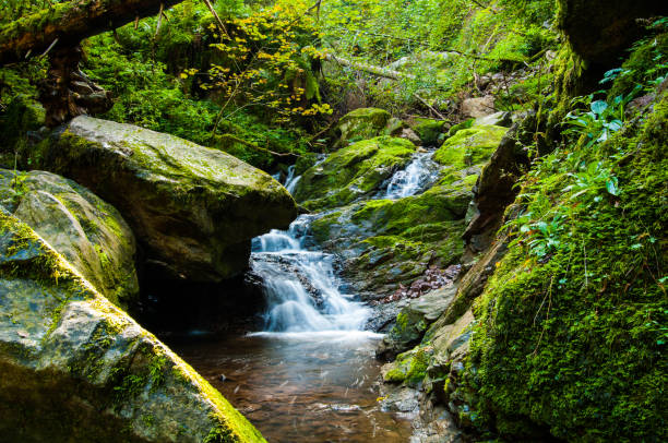 istock long time exposure of waterfall in Lotenbachklamm, black forest 1008539992