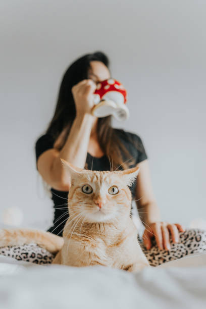 istock Woman in Bed with Cat 1008541084
