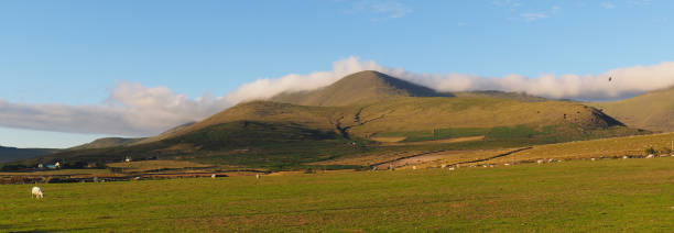 istock Irish landscape near mount Brandon 1008544924