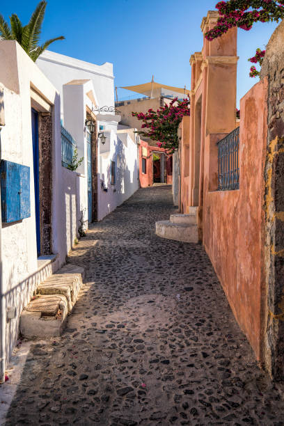 istock Beautiful alley in Oia, Santorini 1008556730
