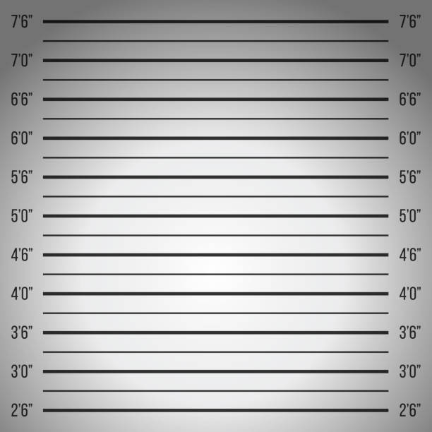 istock Creative vector illustration of police lineup, mugshot template with a table isolated on transparent background. Art design silhouette of anonymous. Abstract concept graphic element 1008557378