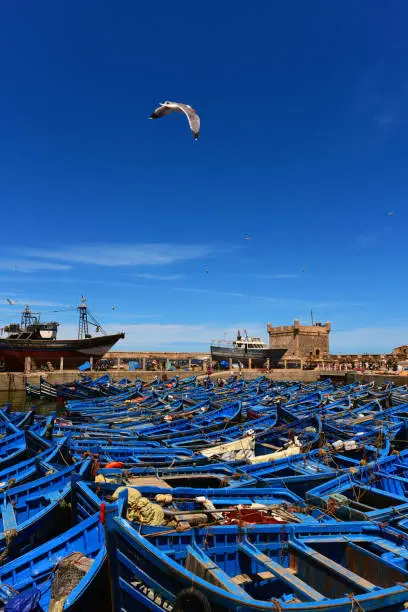 Blue fishing boats in the port of Essaouira - Morocco, Africa. Shot after sunset at blue hour.