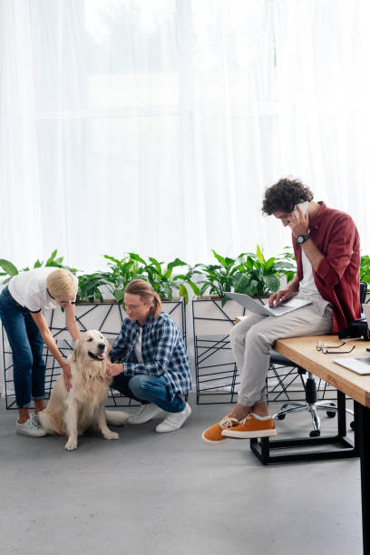 istock young man talking by smartphone while colleagues stroking dog in office 1008599720