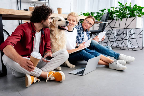 istock smiling young business colleagues looking at dog while working together in office 1008599806