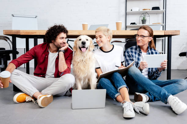 istock young business colleagues using digital devices and looking at dog in office 1008599898