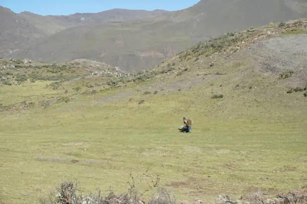 indigenous woman alone in the mountains