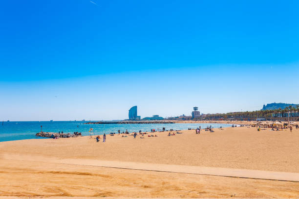 istock Barceloneta beach in Barcelona. Nice sand beach with palms. Sunny bright day with blue sky. Famous tourist destination in Catalonia, Spain 1008613992