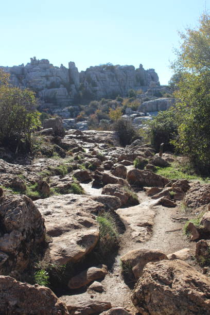 istock The Torcal of Antequera 1008614054