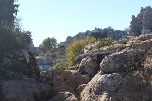 istock The Torcal of Antequera 1008620486