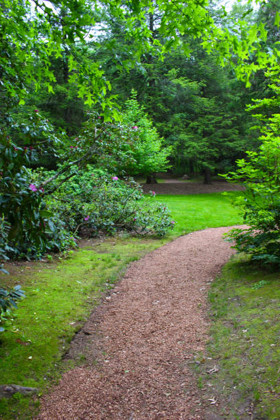 istock curved path in public park with trees and bushes in May 1008621312