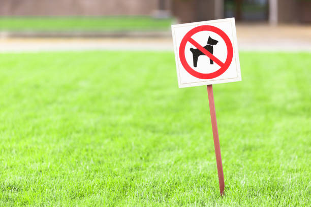 Sign in a park - No walking dog on the green grass.