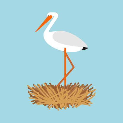 Stork in nest isolated. Bird Vector illustration