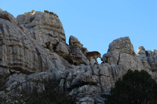 istock The Torcal of Antequera 1008633930