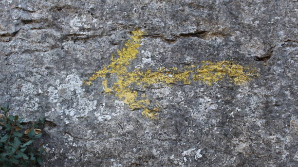 istock Painted yellow arrow in El Torcal de Antequera 1008641518