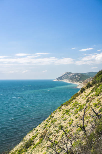 istock View from the mountain with trees to the sea under the blue sky with clouds. Vertical frame 1008641666