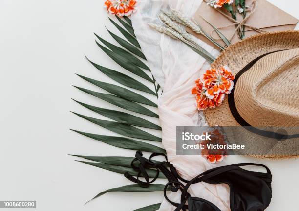 Diseño Creativo De Verano Con Hojas Tropicales Flores Y Sombrero Hipster Sobre Fondo Pastel Foto de stock y más banco de imágenes de A la moda - iStock Diseño Creativo De Verano Con Hojas Tropicales Flores Y Sombrero Hipster Sobre Fondo Pastel Foto de stock y más banco de imágenes de A la moda - iStock