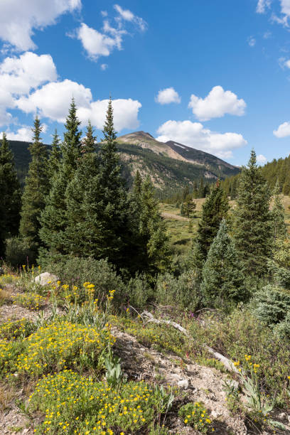 istock Green Mountain 12,791 feet located in White River National Forest. 1008665598