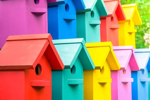 Photo of A lot of colorful birdhouses. Houses for birds.