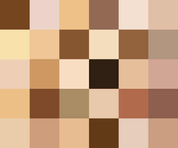Creative vector illustration of human skin tone color palette set isolated on transparent background. Art design. Abstract concept person face, body complexion graphic element for cosmetics Creative vector illustration of human skin tone color palette set isolated on transparent background. Art design. Abstract concept person face, body complexion graphic element for cosmetics. brown stock illustrations
