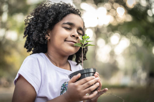 niña en el jardín, que huele a planta fresca - growth new life seedling child fotografías e imágenes de stock