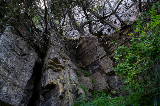 istock Bluffs on Lake Michigan 1008678116