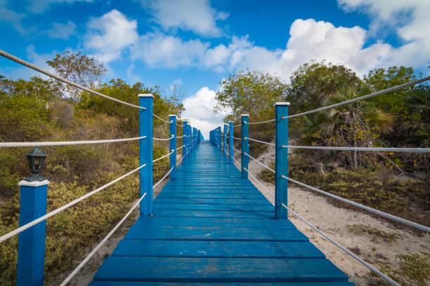 istock Blue Deck Leading To Caribbean Heaven 1008688582