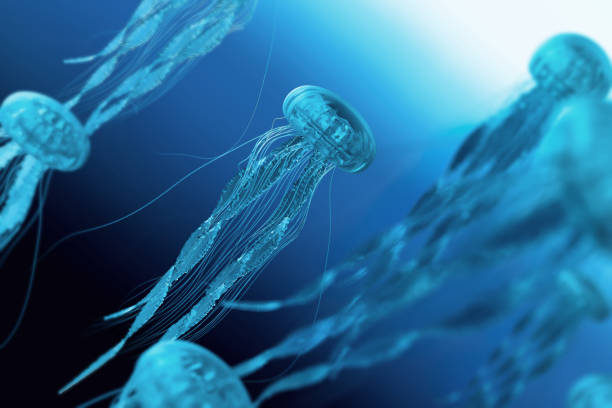 istock The jellyfish in blue ocean background 1008707748