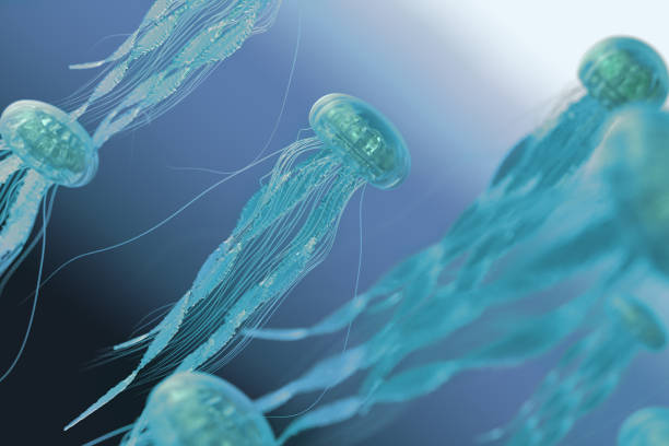 istock The jellyfish in blue ocean background 1008707906