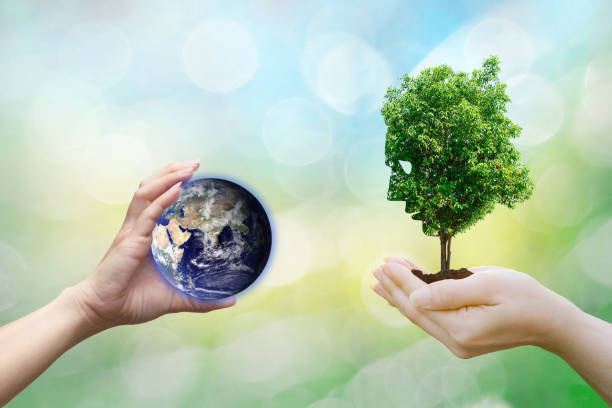 istock Ecology concept human hands holding big plant face tree look world environment,Earth image provided by Nasa. 1008717246