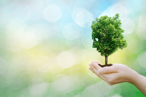 istock Ecology concept human hands holding big plant face tree look world environment 1008717268
