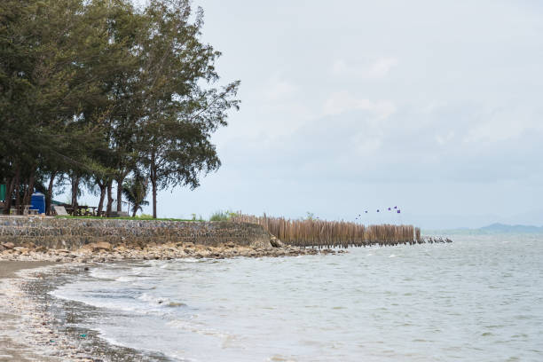 istock View of Chao Lao Beach Chanthaburi, Thailand. 1008736712