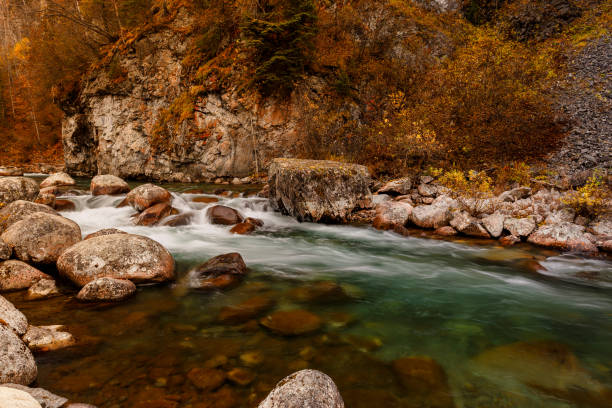 istock Autumn along the Little Susitna river in Alaska 1008738780