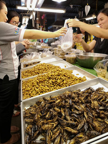 Customers buying fried insects, to eat, from a market vendor in Ruamchok Market, Chiang Mai. Customers buying popular fried insects, to eat, from a market vendor in Ruamchok Market, Chiang Mai. Various insects, bugs, grubs and caterpillars are always found for sale in markets throughout Thailand, these various insects are used as as ingredients in Thai recipes and as snacks. They range from crunchy to adding taste to dishes and consist of mainly protein. fried insects for snack thai food at market stock pictures, royalty-free photos & images